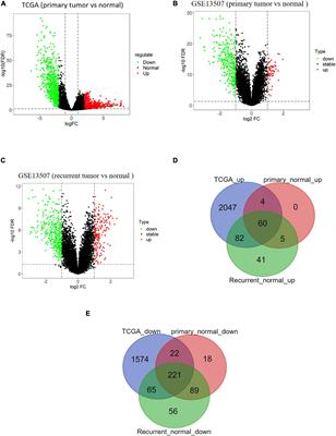 Identification of Biomarkers Related to Prognosis of Bladder Transitional Cell Carcinoma